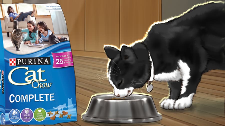 Purina Cat Chow